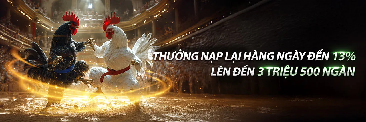 Cập nhật chính sách cookie