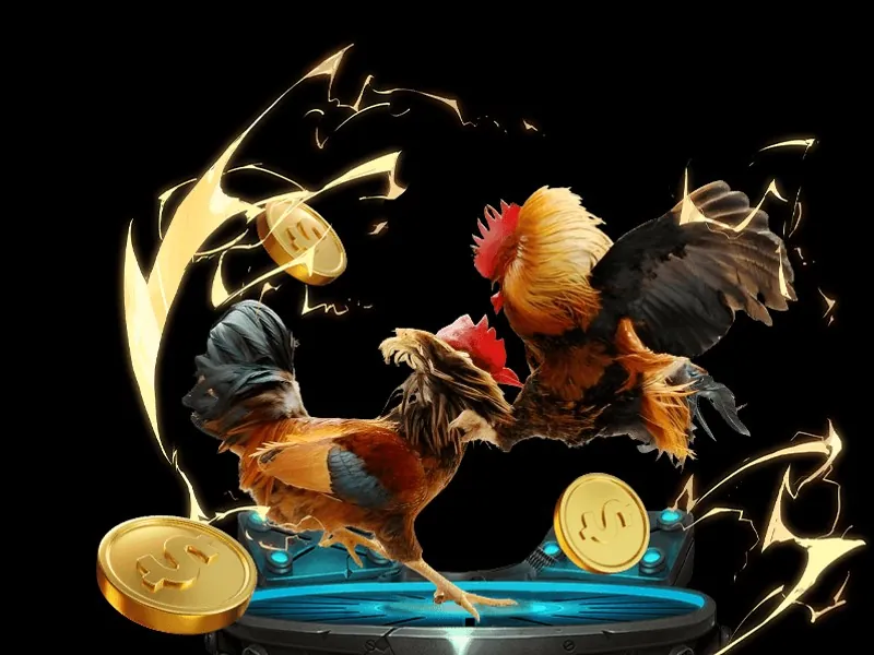 Bàn Baccarat trực tuyến nbet